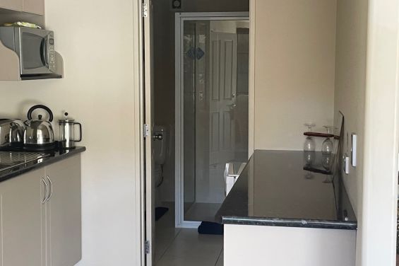 Gold Suite kitchen